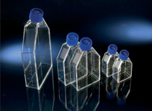 Nunc™ EasYFlask 细胞培养瓶 156499